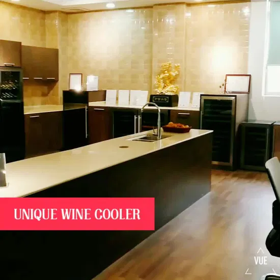 Nevera para vinos Inverter, refrigerador integrado de dos zonas para vinos y bebidas